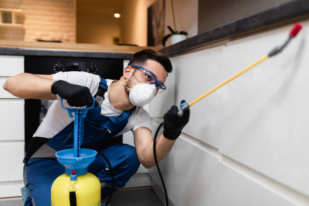 Best Local Pest Control Services  in Boothwyn, PA