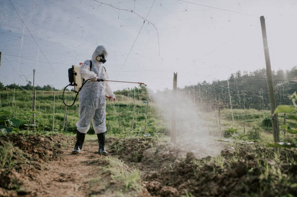 Best Ant Control Services  in Boothwyn, PA