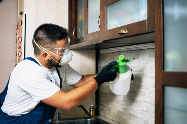 Best Pest Removal Services  in Boothwyn, PA