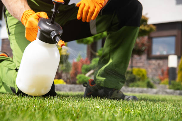 Best Mosquito Control Services  in Boothwyn, PA