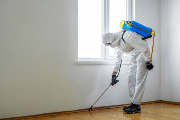 Best Flea Control Services  in Boothwyn, PA