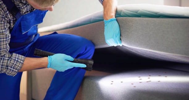 Best Pest Control for Homes  in Boothwyn, PA
