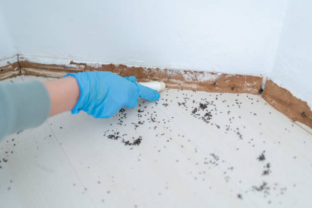 Best Commercial Pest Control Services  in Boothwyn, PA
