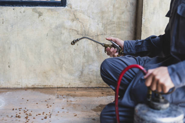 Best Residential Pest Control  in Boothwyn, PA